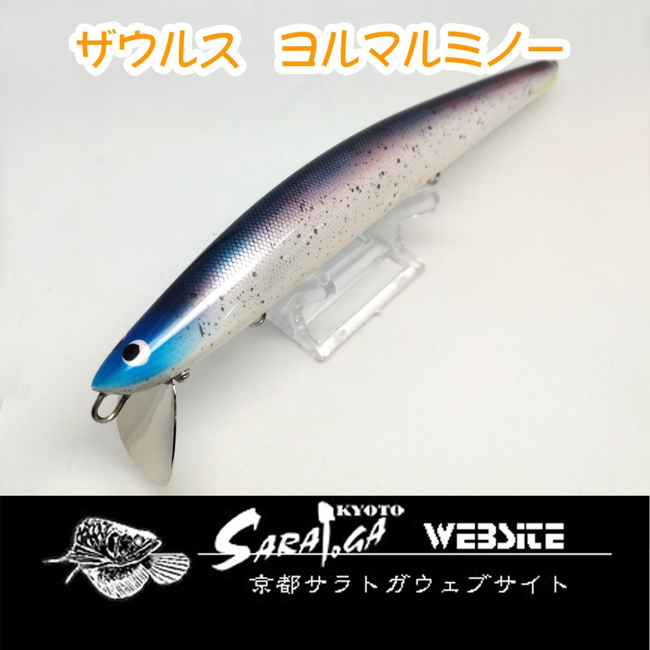 ザウルス ヨルマルミノー | 京都さらとが