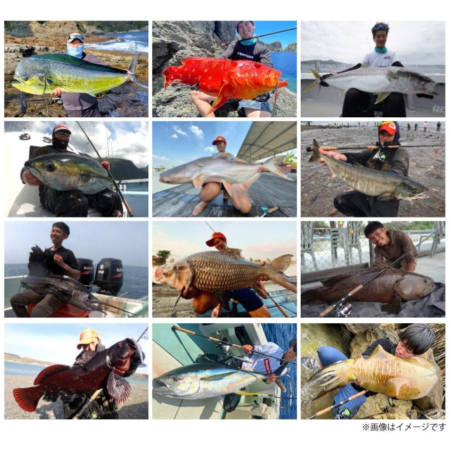 モンスターキス Dear Monster ディアモンスター MX-9S （スピニング