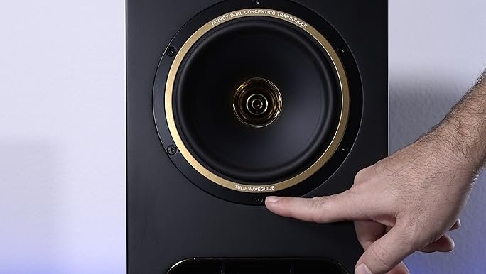Amazon.com: Tannoy Gold 7 6.5-inch Powered Studio Monitor